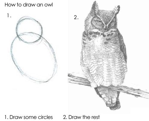 Famous meme of drawing an owl in two steps. First, draw circles. Second, draw the rest.